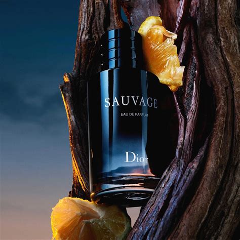 dior sauvage absolu|dior sauvage website.